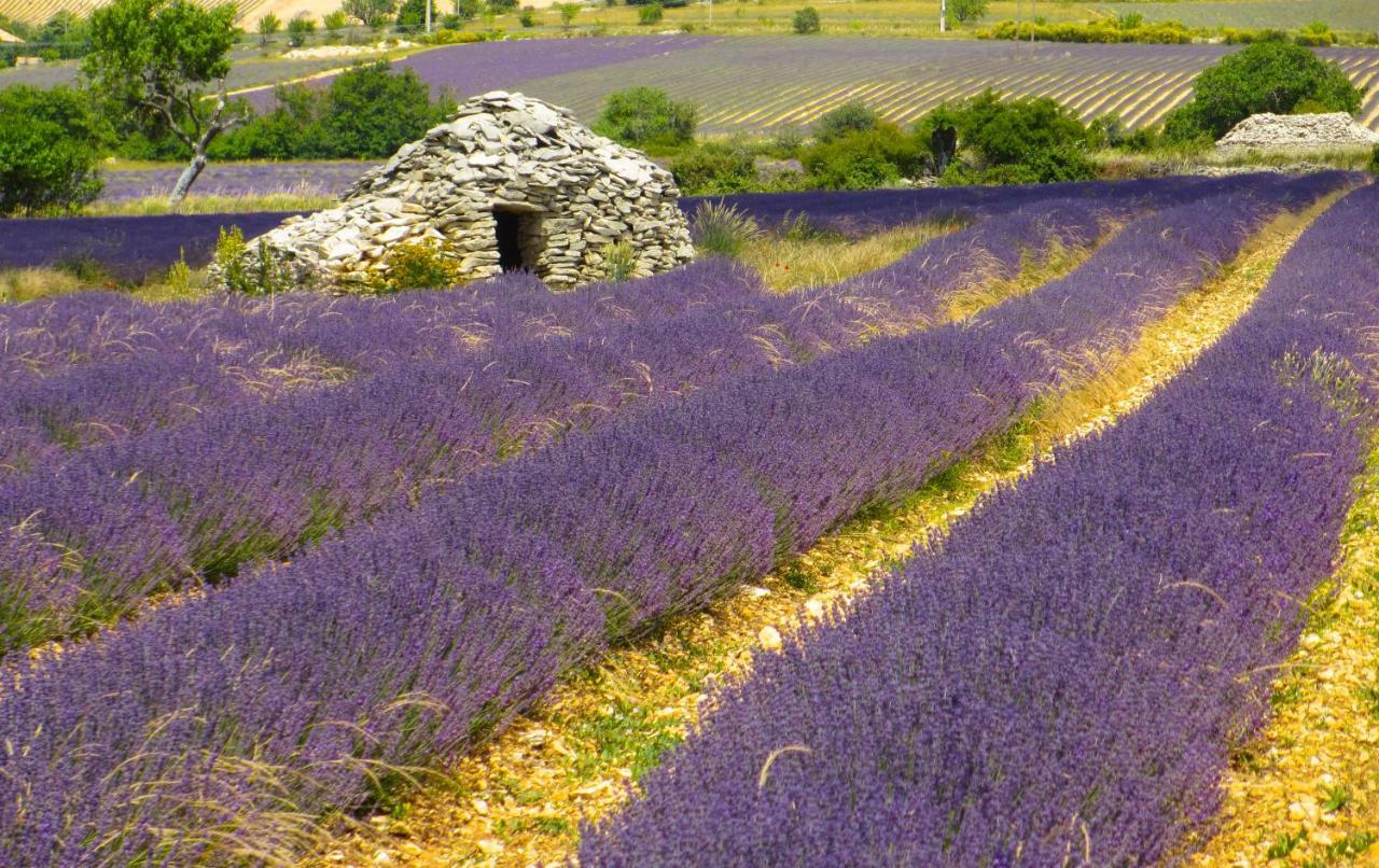 Chateau Des Gipieres Bij De Mont Ventoux مونتبرو - ليس بينز المظهر الخارجي الصورة