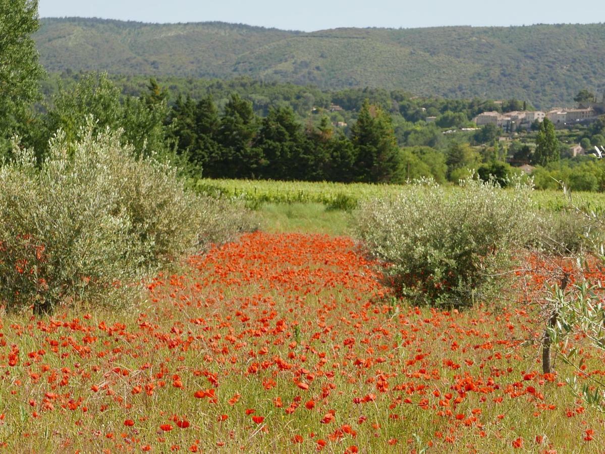 Chateau Des Gipieres Bij De Mont Ventoux مونتبرو - ليس بينز المظهر الخارجي الصورة