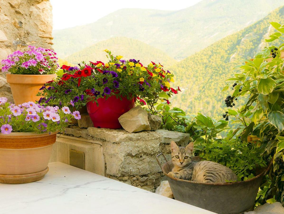 Chateau Des Gipieres Bij De Mont Ventoux مونتبرو - ليس بينز المظهر الخارجي الصورة