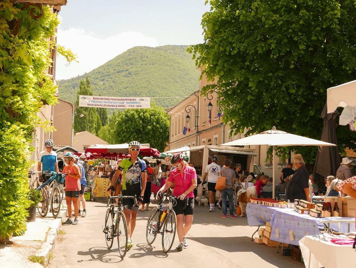 Chateau Des Gipieres Bij De Mont Ventoux مونتبرو - ليس بينز المظهر الخارجي الصورة